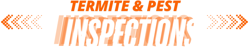 termite and pest headline
